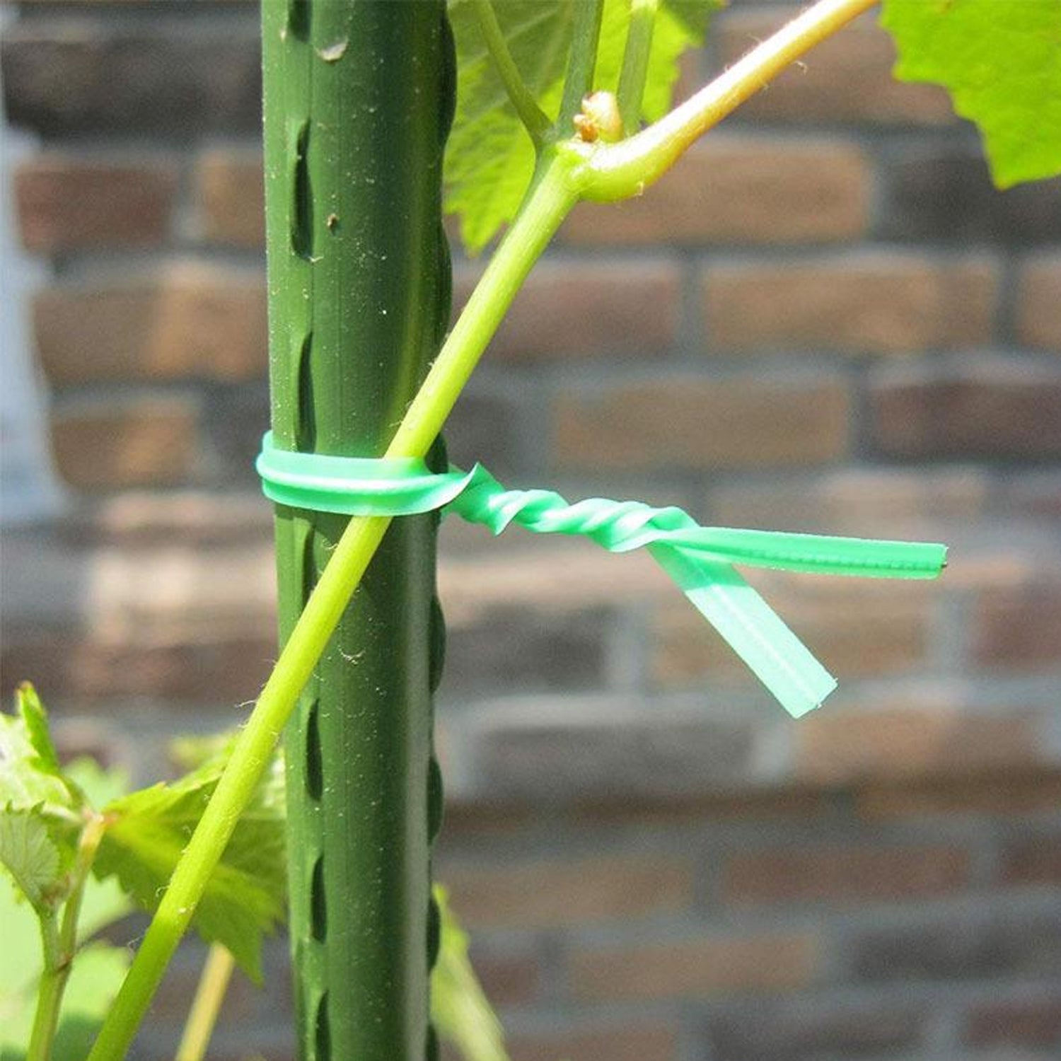Plastic Twist Tie Wire Spool With Cutter For Garden Yard Plant 50m (Green) thumbnail 3