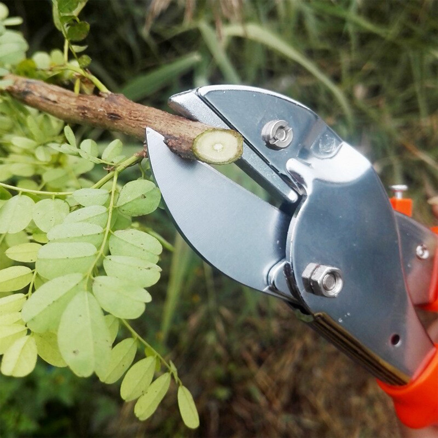 PROFESSIONAL GARDEN SCISSOR WITH SHARP BLADE COMFORTABLE HANDLE (18CM) thumbnail 4