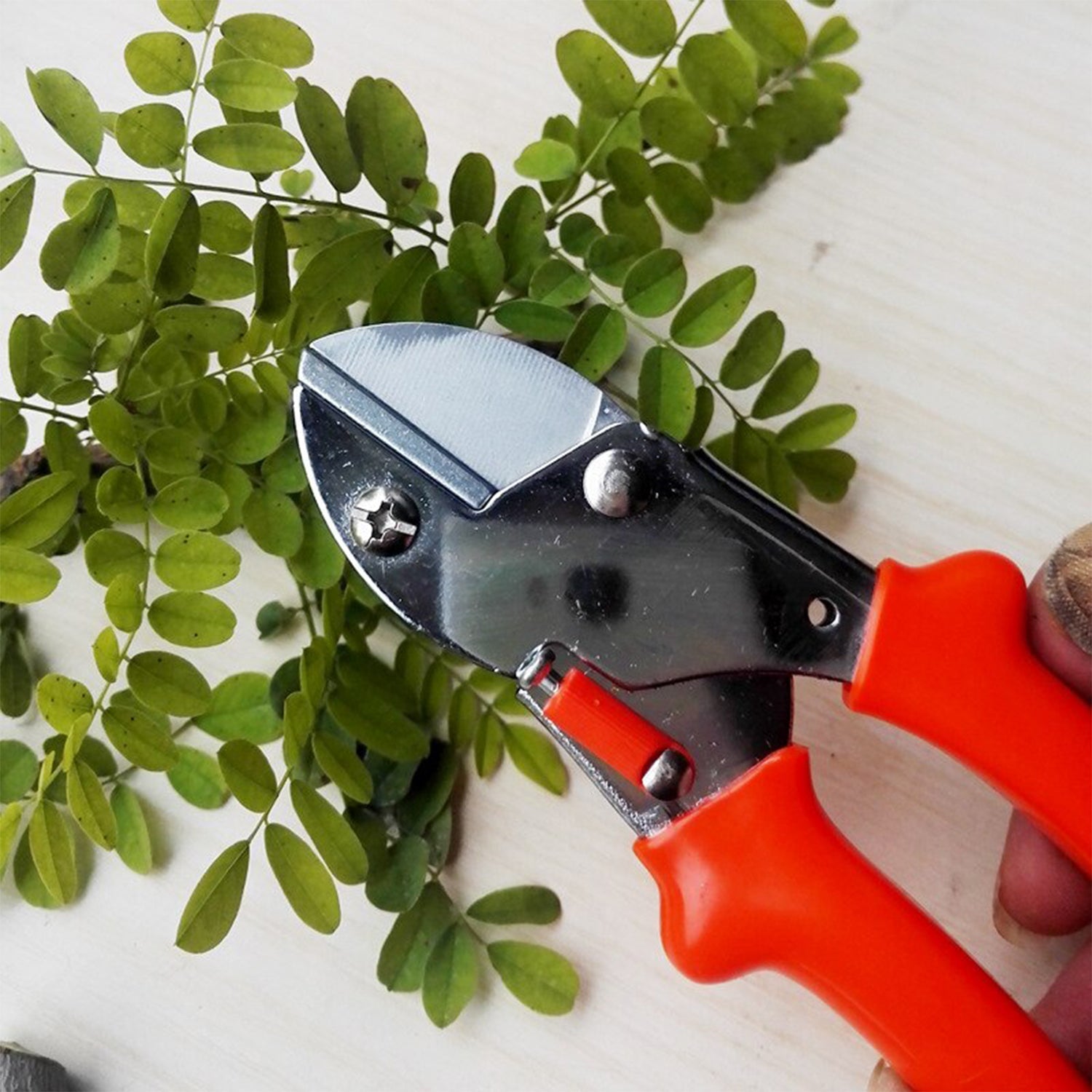 PROFESSIONAL GARDEN SCISSOR WITH SHARP BLADE COMFORTABLE HANDLE (18CM) thumbnail 6
